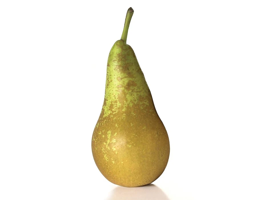 ALAMBRE